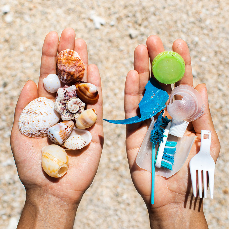 Single-use plastic packaging litter found at the beach.